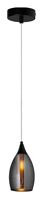 Подвесной светильник Arte Lamp Barry A7951SP-1BK 400_400_3089292