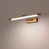 Подсветка для картины Lightstar Noce 201031 100_100_3093231