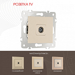ТВ-розетка без рамки Arte Milano am-203 203.43-1.shampan 250_100_2166603