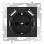 Розетка с заземлением и со шторкой и 2хUSB, без рамки Arte Milano am-206 206.47-1.black 250_100_2167516