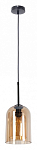 Подвесной светильник Arte Lamp Paio A7015SP-1BK 250_100_1823132