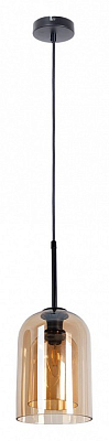 Подвесной светильник Arte Lamp Paio A7015SP-1BK 400_400_1823132