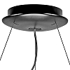 Подвесной светильник Lightstar Nibbler 812236 100_100_1711902