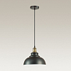 Подвесной светильник Lumion Dario 3675/1 100_100_1862620