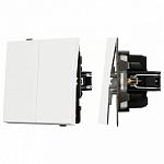 Выключатель двухклавишный без рамки Arlight SWT 054547 250_100_1603189