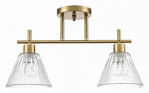 Светильник на штанге Lumion Vivian 8188/2C 500_191_3155264