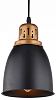 Подвесной светильник Arte Lamp Eurica A4248SP-1BK 100_100_2454738