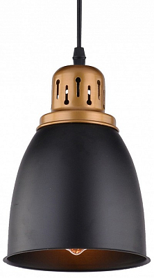 Подвесной светильник Arte Lamp Eurica A4248SP-1BK 400_400_2454738