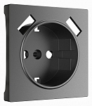 Накладка для розетки с заземлением и 2хUSB Werkel графит матовый W1179564 250_100_1882380