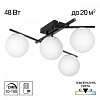 Потолочная люстра Citilux Dorsy CL223142 100_100_1694234