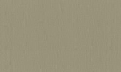 981490 Обои Rasch (1*6) 10,05x1,06 винил на флизелине 250_100_2685492
