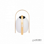 Колонка звуковая iLedex Giggle OVS1100-CH WH 250_100_1991205