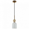 Подвесной светильник Odeon Light MIDCENT 6625/1B 100_100_2464056