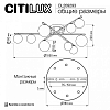 Потолочная люстра Citilux Glob CL209293 100_100_1694511