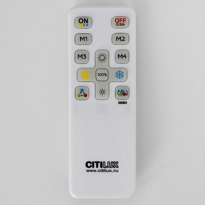 Накладной светильник Citilux NORMA CL749600 400_400_1694975