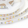 Комплект с лентой светодиодной Apeyron Electrics  10-08 100_100_1963313