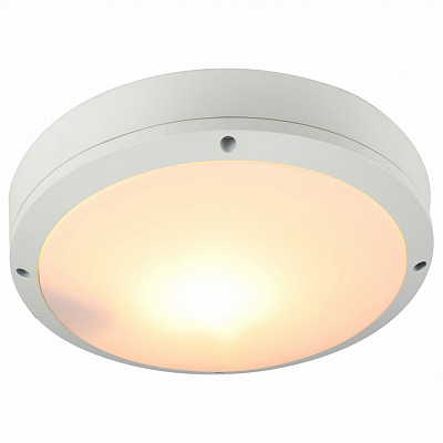 Накладной светильник Arte Lamp City A8154PF-2WH 400_400_3100836