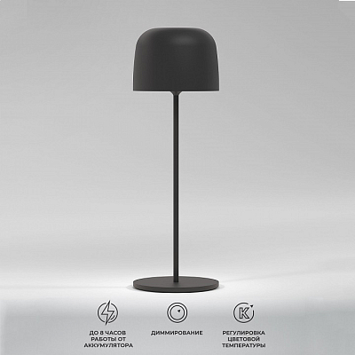 Настольная лампа декоративная Elektrostandard Bitty a069002 400_400_1777595