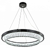 Подвесной светильник Indigo Riva 12045/1P Black 100_100_1971202