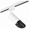 Светильник на штанге Lightstar Rullo R1T43637