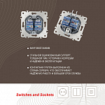 Розетка Ethernet RJ-45 без рамки Arte Milano am-203 203.45-2.silver 250_100_2166695