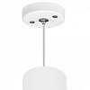 Подвесной светильник Lightstar Rullo RP6486487 100_100_1715267