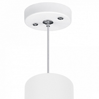 Подвесной светильник Lightstar Rullo RP6486487 400_400_1715267
