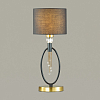 Настольная лампа декоративная Lumion Santiago 4516/1T 100_100_1862896