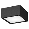 Накладной светильник Lightstar Zolla 380274 100_100_2448578