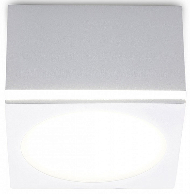Накладной светильник Ambrella Light TN TN266 400_400_2006742