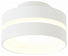 Накладной светильник Ambrella Light TN TN5419 100_100_2442374