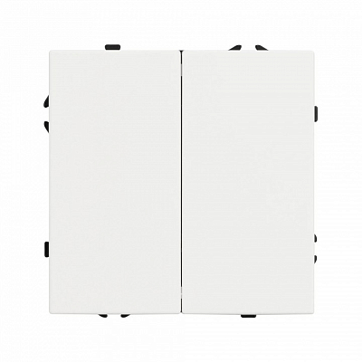 Выключатель двухклавишный без рамки Arlight SWT 054238 400_400_1602923