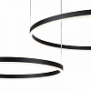 Подвесной светильник Indigo Galass 14001/2P Black 100_100_1970270
