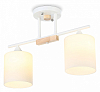 Светильник на штанге Ambrella Light TR TR9541 100_100_2468411