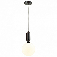 Подвесной светильник Odeon Light Okia 4668/1 500_191_2464084