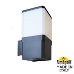 Светильник на штанге Fumagalli VIRGILIO DS3.562.000.AYF1R 250_100_3084432