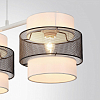 Подвесной светильник Lumion Animaisa 8002/3A 100_100_1864798