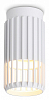 Накладной светильник Ambrella Light TN TN51672 100_100_2442341