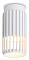 Накладной светильник Ambrella Light TN TN51672
