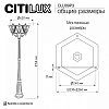 Фонарный столб Citilux FORTS CLU09P3 100_100_1381325