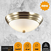 Накладной светильник Lumion Kayla 5262/2C 100_100_1863261
