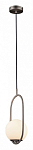 Подвесной светильник Loft it Glob LOFT2595-B 250_100_1845373