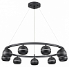 Подвесная люстра Lumion Luazana 8242/9 100_100_1866944