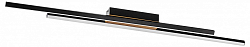 Накладной светильник Lightstar Lodi 723427 250_100_3155651