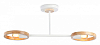 Светильник на штанге Ambrella Light TR TR8243 100_100_2468404