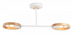 Светильник на штанге Ambrella Light TR TR8243 250_100_Array