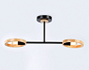 Светильник на штанге Ambrella Light TR TR8244 100_100_2023577