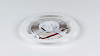 Лента светодиодная DesignLed DSG2196 DSG2196-24-WW-33 100_100_2179428