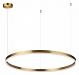 Подвесной светильник Lumion Echo 6531/67L 250_100_1863905