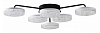 Потолочная люстра Lumion Didana 8236/6CL 100_100_2432373